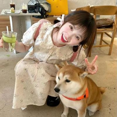寂寞小鲜肉 在线观看